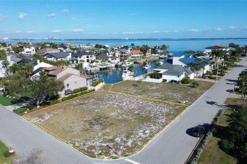 Land in Tierra Verde, Florida № 2225279 - photo 2