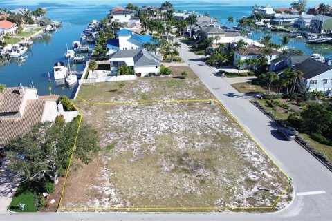 Land in Tierra Verde, Florida № 2225279