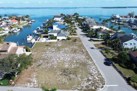 Land in Tierra Verde, Florida № 2225279 - photo 4