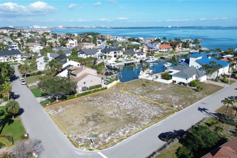 Land in Tierra Verde, Florida № 2225279 - photo 8