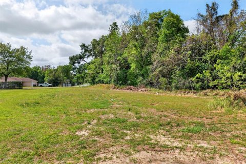 Terreno en venta en Ocala, Florida № 2094126 - foto 11