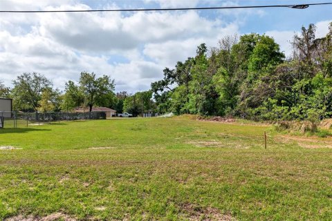 Terreno en venta en Ocala, Florida № 2094126 - foto 12