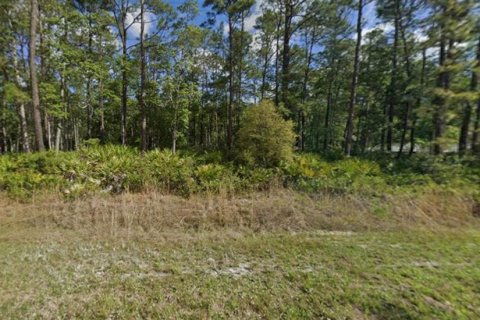 Land in Satsuma, Florida № 2164523