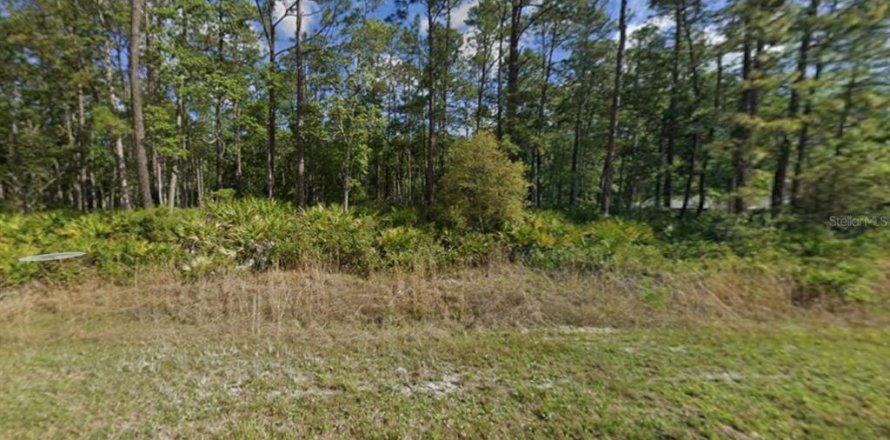 Land in Satsuma, Florida № 2164523