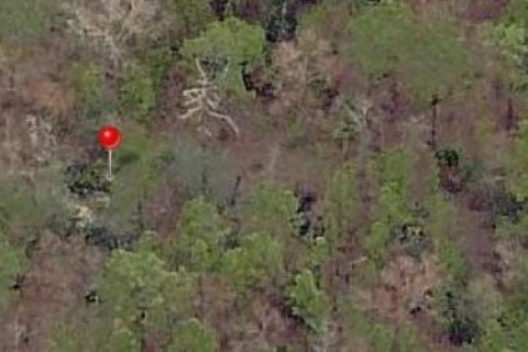 Land in Ocklawaha, Florida № 2163376