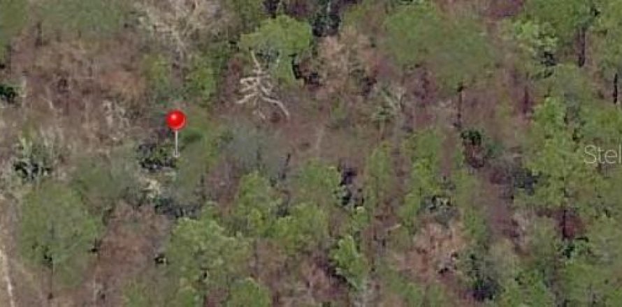 Land in Ocklawaha, Florida № 2163376