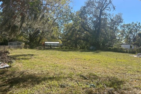 Terreno en venta en Gibsonton, Florida № 1566488 - foto 1