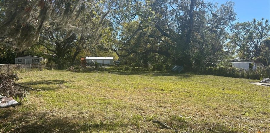 Terreno en Gibsonton, Florida № 1566488
