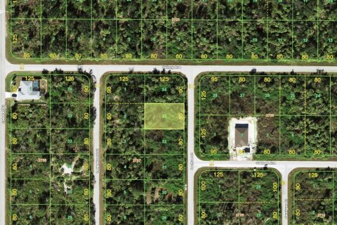 Land in Port Charlotte, Florida № 2160540