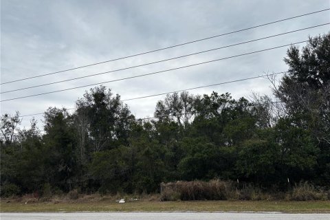 Terrain à Apopka, Floride № 2125838