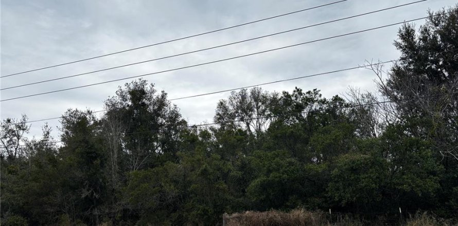 Terrain à Apopka, Floride № 2125838
