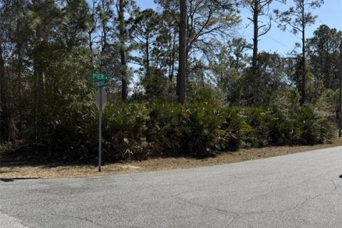 Land in Palm Coast, Florida № 2390955 - photo 4