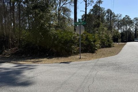 Land in Palm Coast, Florida № 2390955 - photo 2