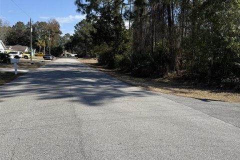 Land in Palm Coast, Florida № 2390955 - photo 3