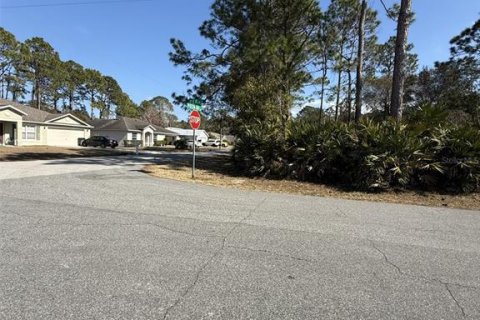 Land in Palm Coast, Florida № 2390955