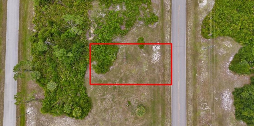 Terreno en Placida, Florida № 2162116