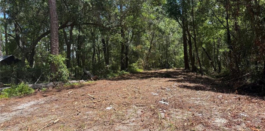 Terreno en Fort MC Coy, Florida № 1914981