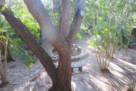 Copropriété à louer à Tampa, Floride: 1 chambre, 45.89 m2 № 2166160 - photo 12