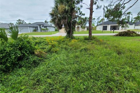 Terreno en venta en Rotonda, Florida № 833787 - foto 3