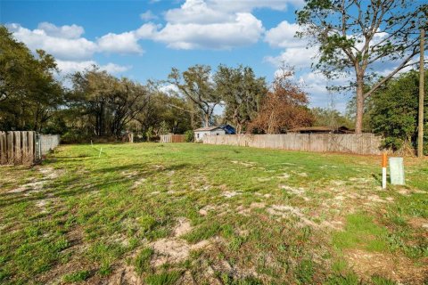 Land in Lady Lake, Florida № 2159770 - photo 10