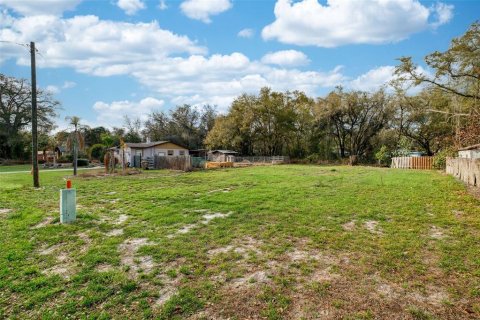 Land in Lady Lake, Florida № 2159770 - photo 11