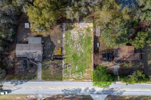 Land in Lady Lake, Florida № 2159770