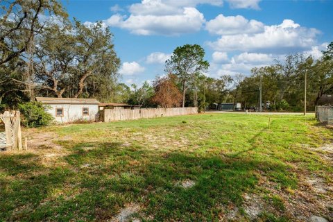 Land in Lady Lake, Florida № 2159770 - photo 13