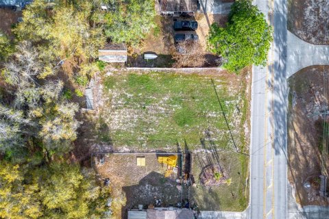 Land in Lady Lake, Florida № 2159770 - photo 2