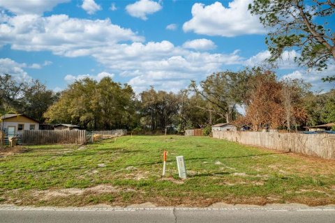 Land in Lady Lake, Florida № 2159770 - photo 14