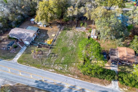 Land in Lady Lake, Florida № 2159770 - photo 9