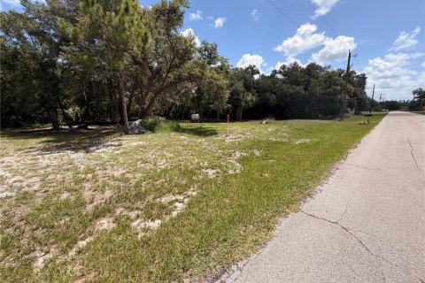 Land in Port Charlotte, Florida № 2208221 - photo 3