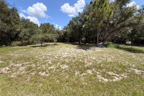 Land in Port Charlotte, Florida № 2208221 - photo 2