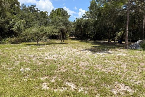 Terreno en Port Charlotte, Florida № 2208221