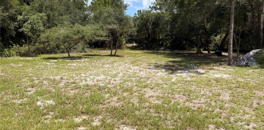 Land in Port Charlotte, Florida № 2208221