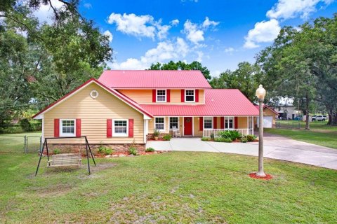 Casa en Dover, Florida 4 dormitorios, 348.76 m2 № 2358101