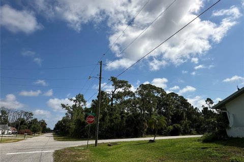 Land in Port Charlotte, Florida № 2164771 - photo 6