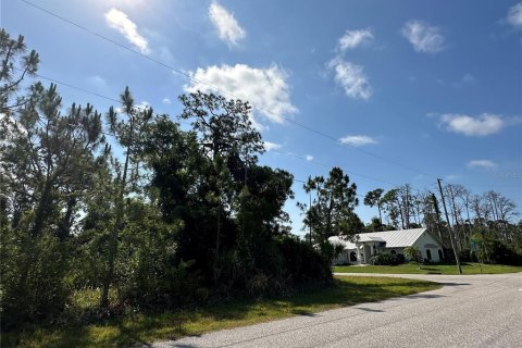 Land in Port Charlotte, Florida № 2164771 - photo 7