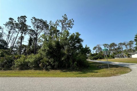 Land in Port Charlotte, Florida № 2164771