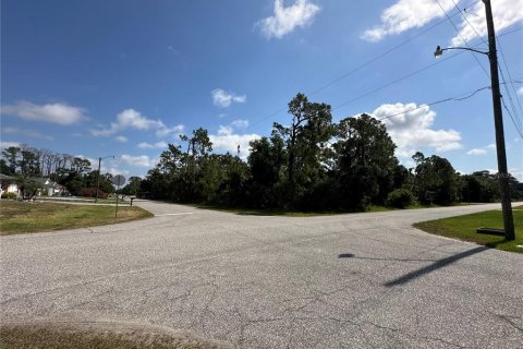 Land in Port Charlotte, Florida № 2164771 - photo 2
