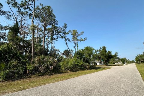 Land in Port Charlotte, Florida № 2164771 - photo 8