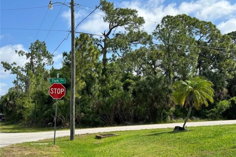 Land in Port Charlotte, Florida № 2164771 - photo 9
