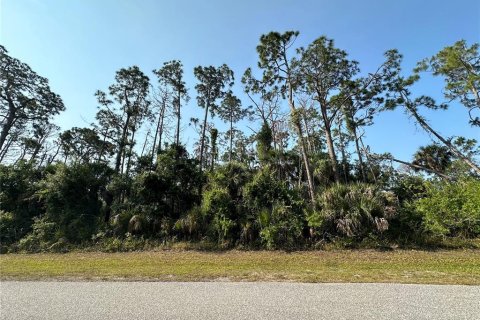 Land in Port Charlotte, Florida № 2164771 - photo 3