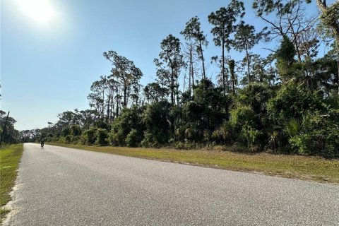 Land in Port Charlotte, Florida № 2164771 - photo 4