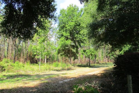 Casa en venta en Dunnellon, Florida, 3 dormitorios, 166.3 m2 № 1666796 - foto 2