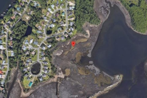 Land in Panama City, Florida № 2163899 - photo 3
