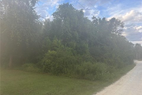 Land in Ridge Manor, Florida № 737191 - photo 1