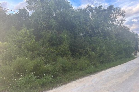 Land in Ridge Manor, Florida № 737191 - photo 2
