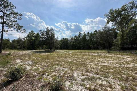 Land in Branford, Florida № 1909143 - photo 12