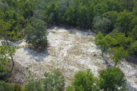 Land in Branford, Florida № 1909143 - photo 7