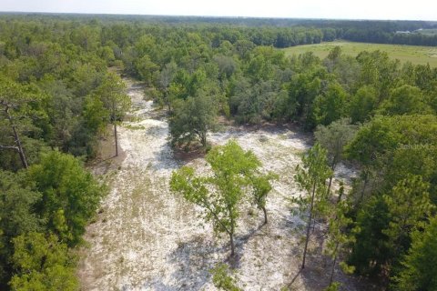 Land in Branford, Florida № 1909143 - photo 3